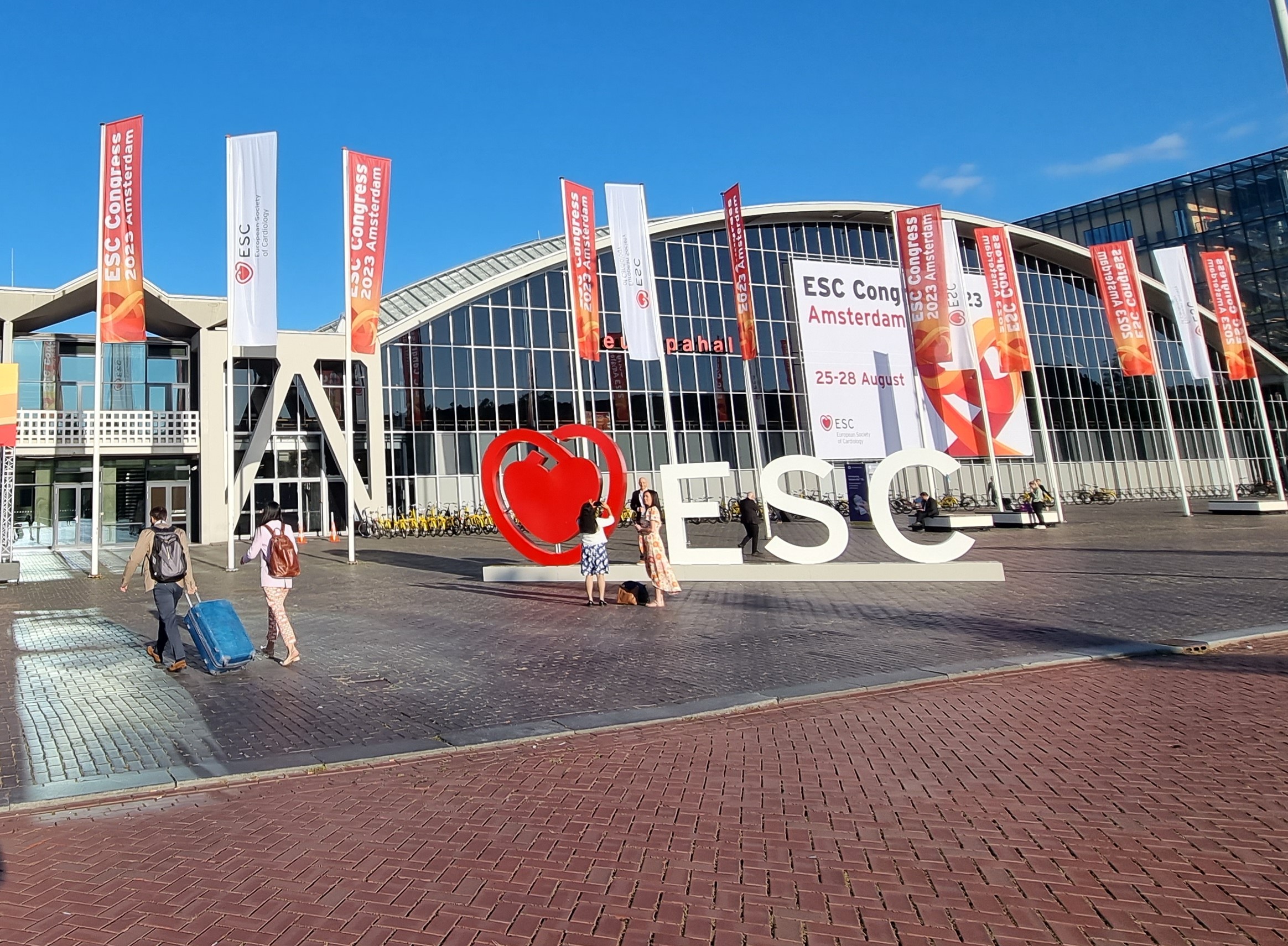 슬라이드 이미지