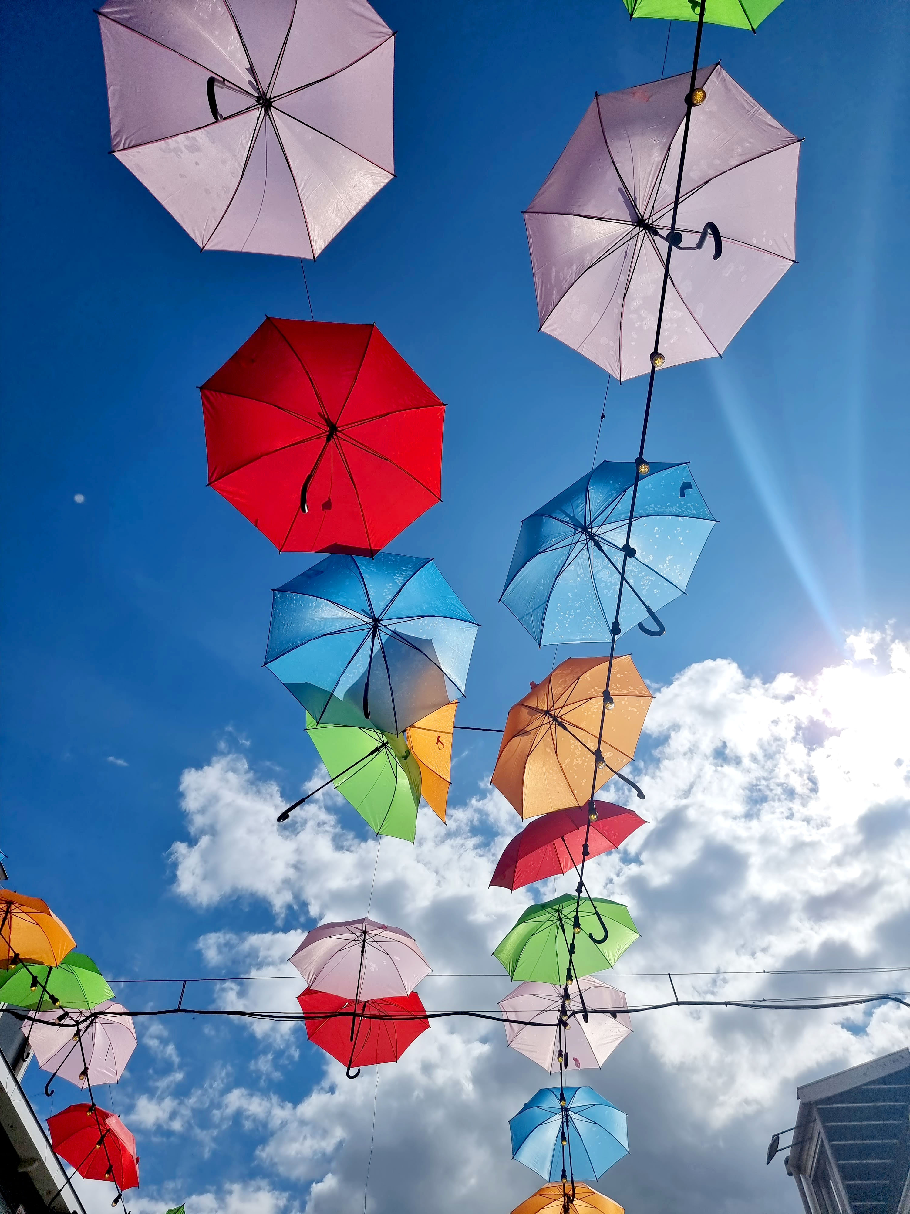 슬라이드 이미지