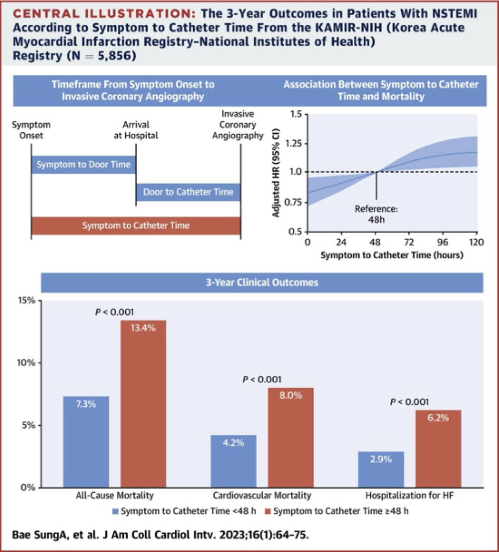 CENTRAL ILLUSTRATION 이미지
