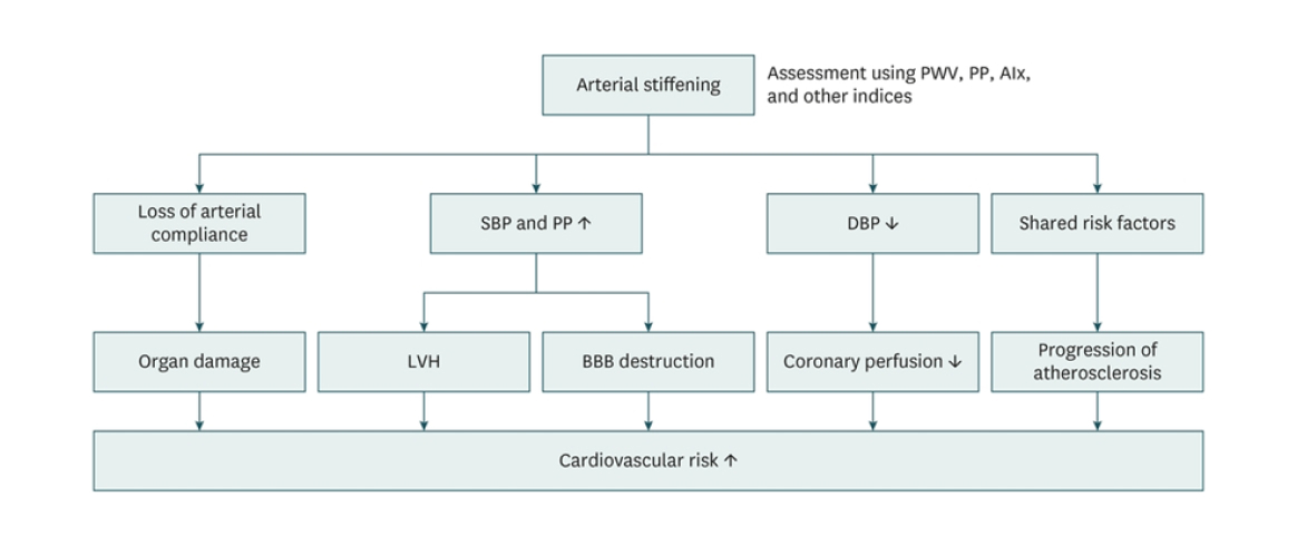 Arterial Stiffness and Pulsatile Hemodynamics in Cardiometabolic Disorders