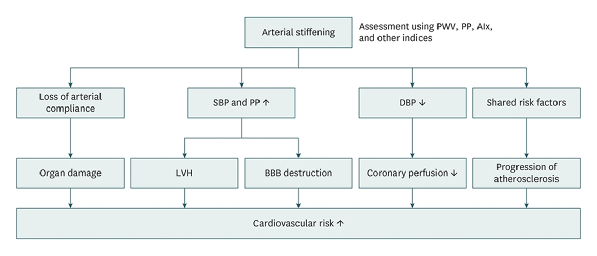 Arterial Stiffness and Pulsatile Hemodynamics in Cardiometabolic Disorders