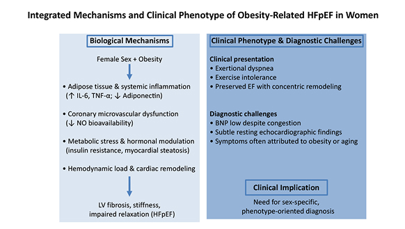 Arterial Stiffness and Pulsatile Hemodynamics in Cardiometabolic Disorders