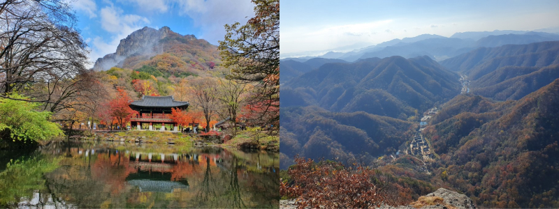 산행의 계기가 된 백양사 백암산