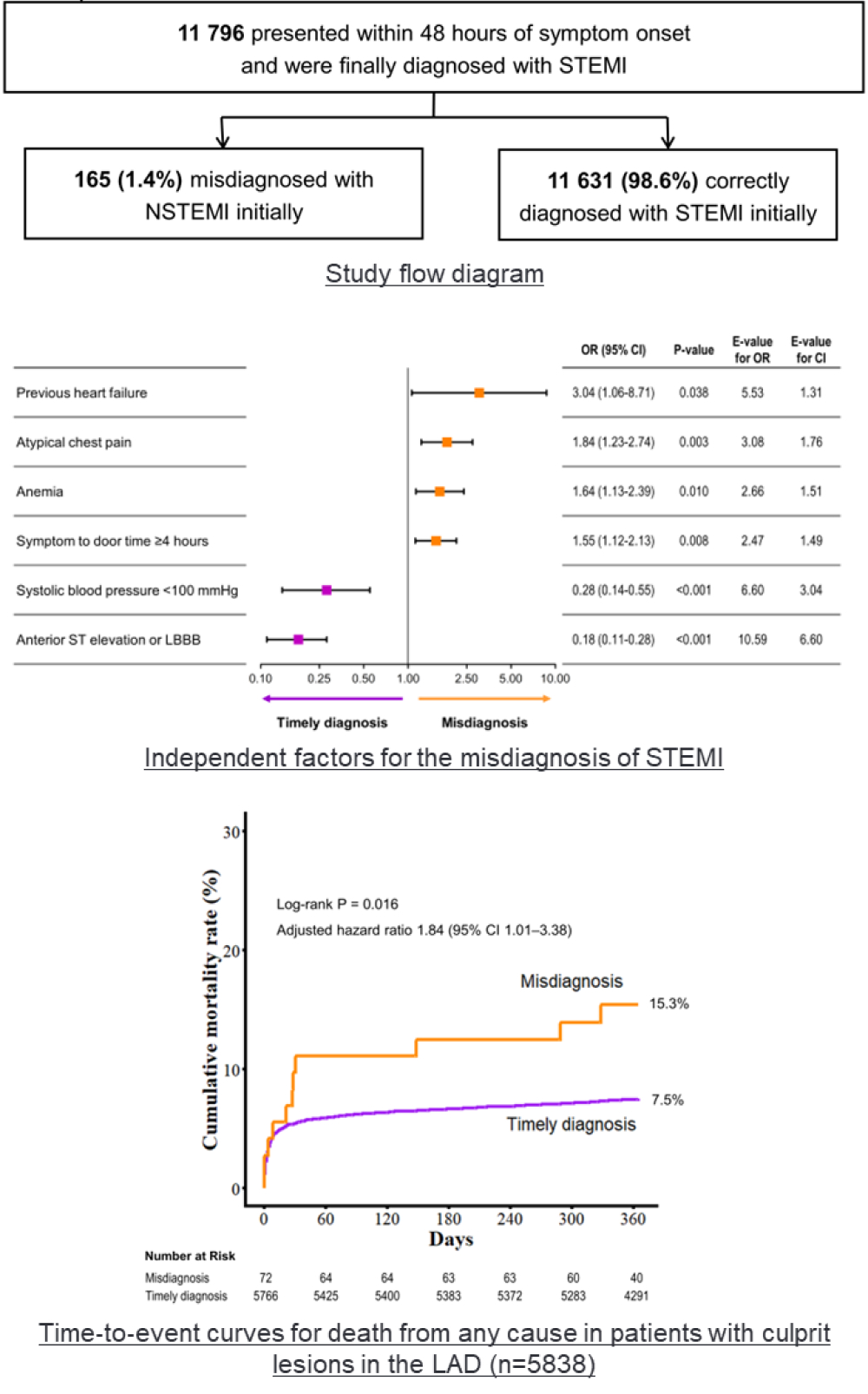 CENTRAL ILLUSTRATION 이미지