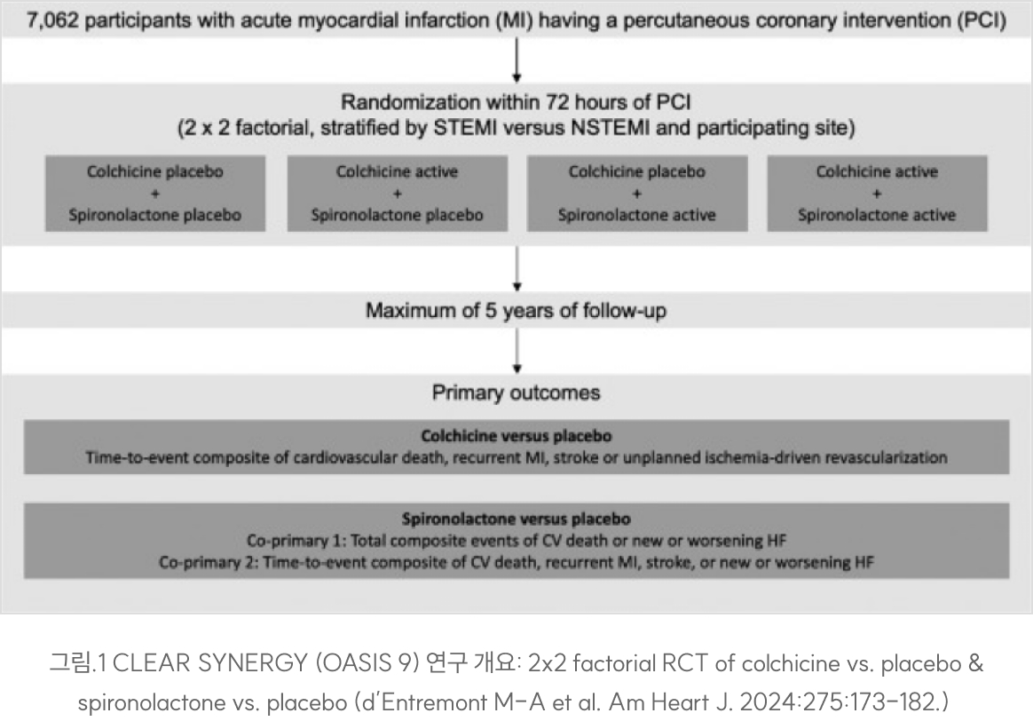 그림.1 CLEAR SYNERGY (OASIS 9) 연구 개요: 2x2 factorial RCT of colchicine vs. placebo & spironolactone vs. placebo (d’Entremont M-A et al. Am Heart J. 2024:275:173-182.)