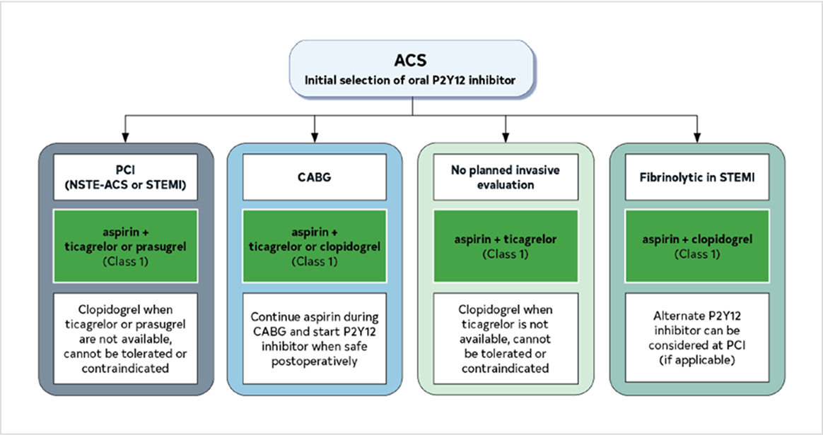 경희대학교 병원 심장내과 김동길